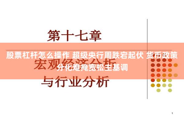 股票杠杆怎麼操作 超級央行周跌宕起伏 貨幣政策分化難掩寬鬆主基調