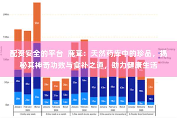 配資安全的平台  鹿茸：天然藥庫中的珍品，揭秘其神奇功效與食補之道，助力健康生活