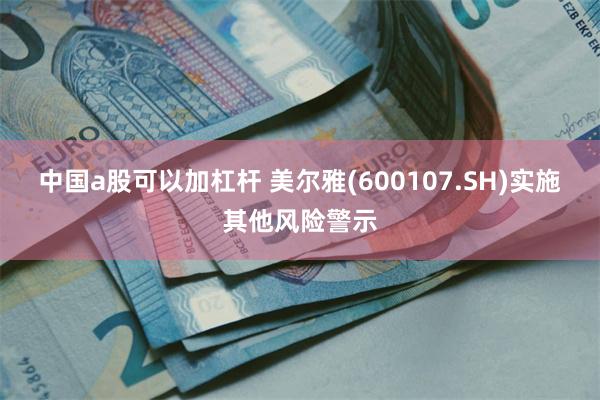 中國a股可以加杠杆 美爾雅(600107.SH)實施其他風險警示