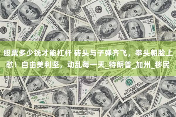 股票多少錢才能杠杆 磚頭與子彈齊飛，拳頭朝臉上懟！自由美利堅，動亂每一天_特朗普_加州_移民