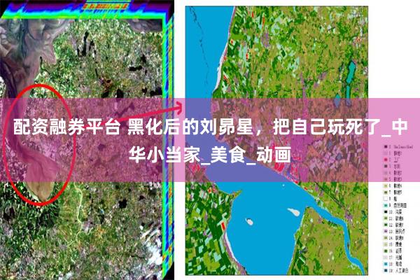 配資融券平台 黑化後的劉昴星，把自己玩死了_中華小當家_美食_動畫