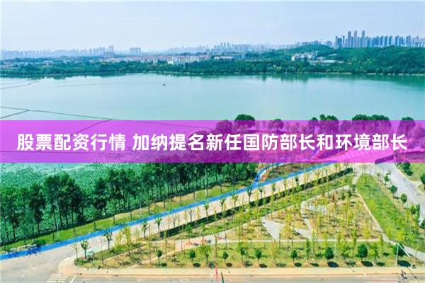 股票配資行情 加納提名新任國防部長和環境部長