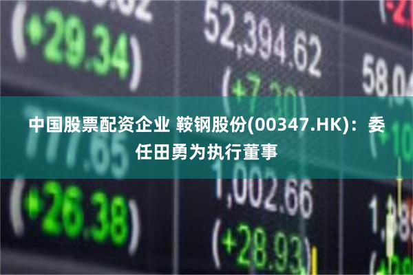 中國股票配資企業 鞍鋼股份(00347.HK)：委任田勇為執行董事