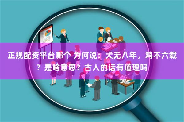 正規配資平台哪個 為何說：犬無八年，雞不六載？是啥意思？古人的話有道理嗎