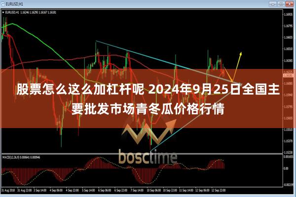 股票怎麼這麼加杠杆呢 2024年9月25日全國主要批發市場青冬瓜價格行情