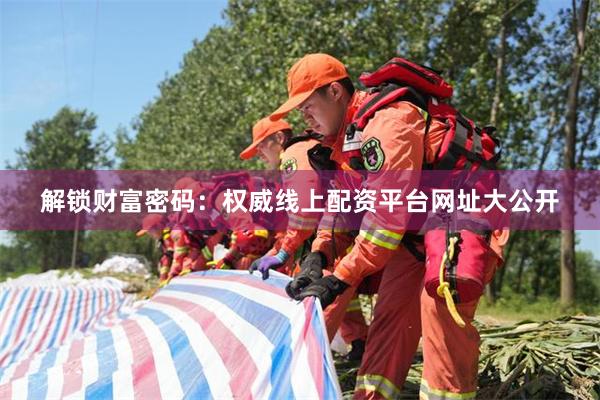 解鎖財富密碼：權威線上配資平台網址大公開