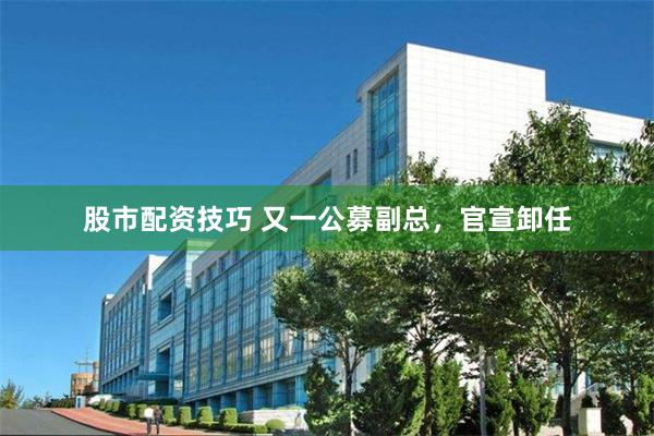 股市配資技巧 又一公募副總，官宣卸任