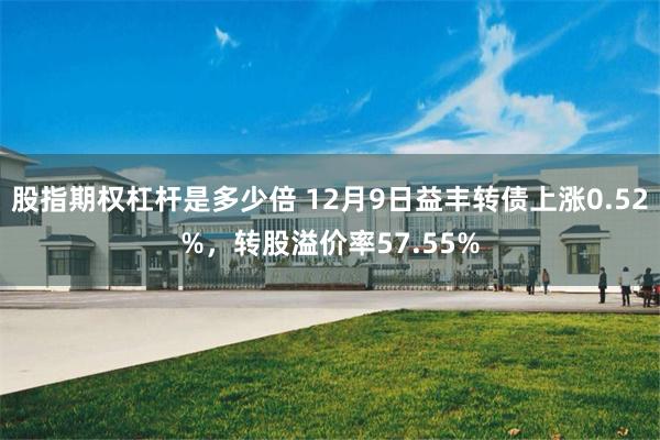 股指期權杠杆是多少倍 12月9日益豐轉債上漲0.52%，轉股溢價率57.55%