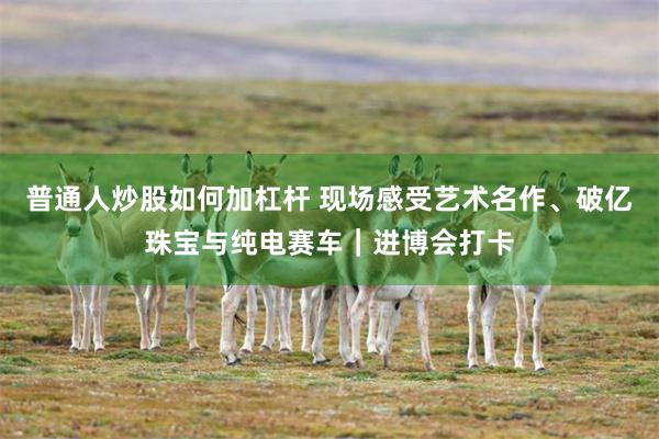 普通人炒股如何加杠杆 現場感受藝術名作、破億珠寶與純電賽車｜進博會打卡