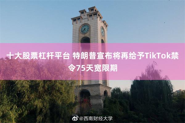 十大股票杠杆平台 特朗普宣布將再給予TikTok禁令75天寬限期