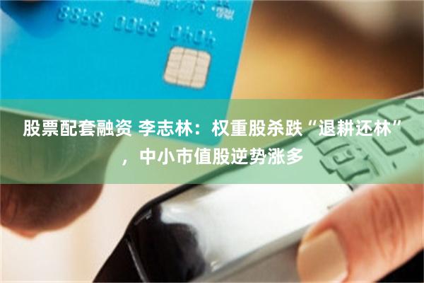 股票配套融資 李誌林：權重股殺跌“退耕還林”，中小市值股逆勢漲多